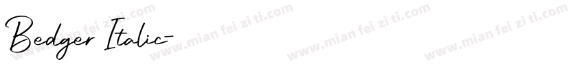 Bedger Italic字体转换